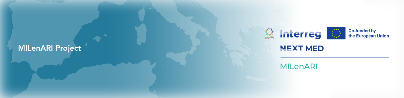 MILenARI Project