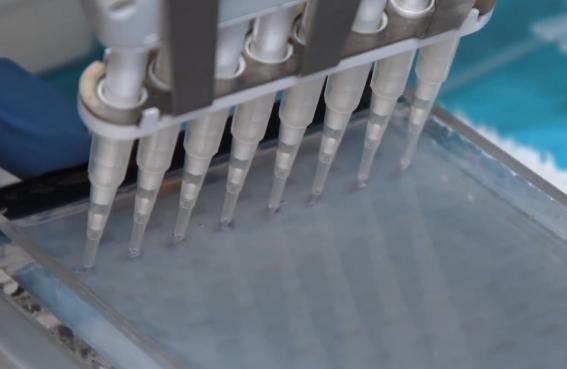 CAR-T Cell Therapy at KHCC