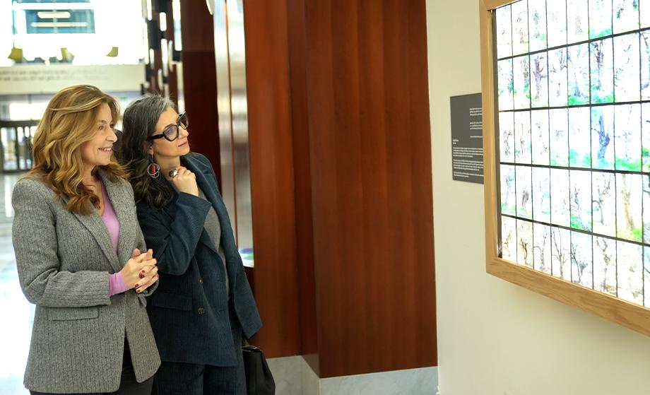 زيارة السيدة فرانشيسكا ألبانيزي المُقررة الخاصة للأمم المتحدة بشأن حقوق الإنسان في الأراضي الفلسطينية